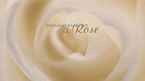 Stefano Panunzi – A Rose