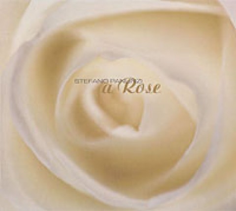 Stefano Panunzi – A Rose