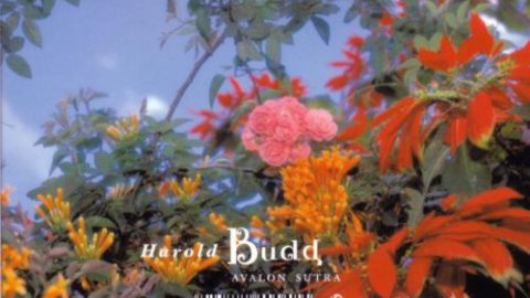 Avalon Sutra, Harold Budd’s farewell album