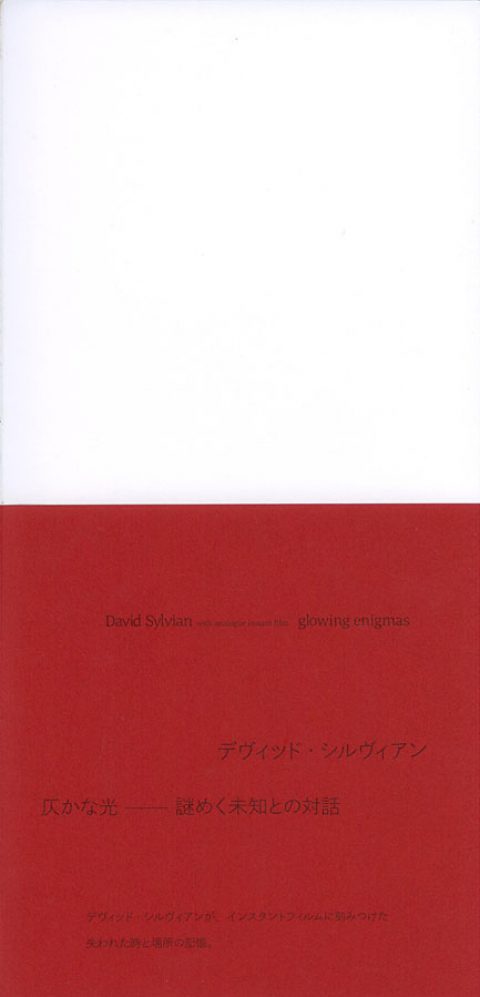 Glowing Enigmas – Exhibition Catalogue