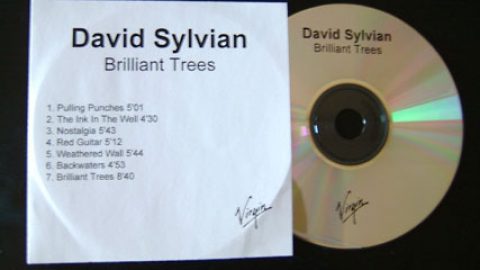 Brilliant Trees (re-issue)