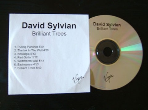 Brilliant Trees (re-issue)