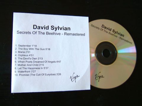 Secrets Of The Beehive (re-issue)