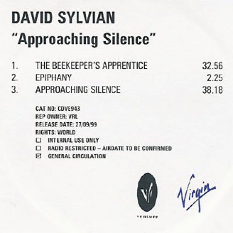 Approaching Silence (advanced)