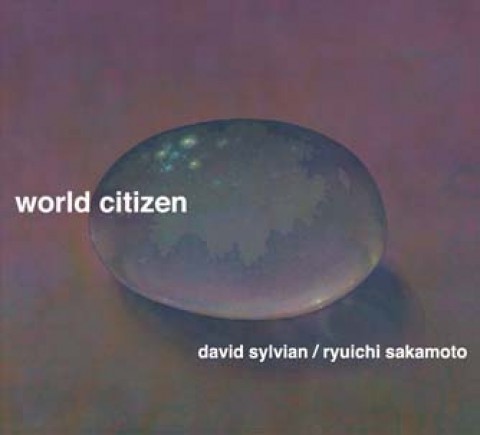World Citizen (Samadhi Sound)