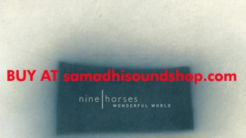 Nine Horses – Wonderful World