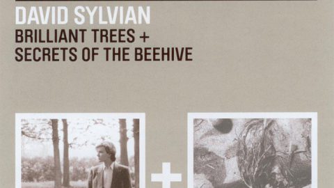 2 for 1: Brilliant Trees + Secrets Of The Beehive