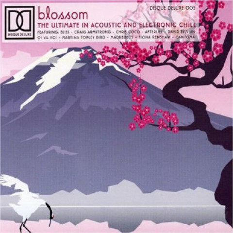 Blossom: Acoustic and Electronic Chill