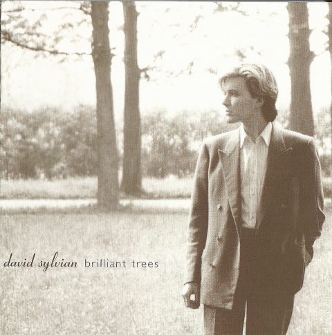 Brilliant Trees (2006 re-issue)