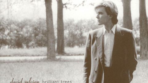 Brilliant Trees (2003 digipack re-issue)