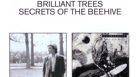 EMI 2CD set Brilliant Trees & Secrets Of The Beehive