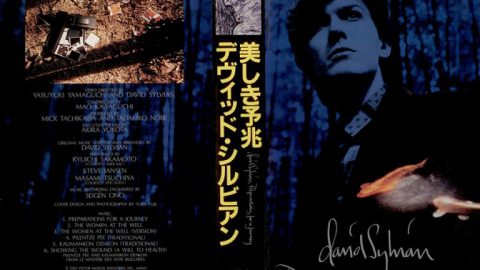 Preparations For A Journey (VHS) - David Sylvian : Expect