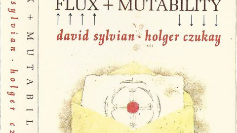 Flux And Mutability