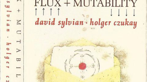 Flux And Mutability
