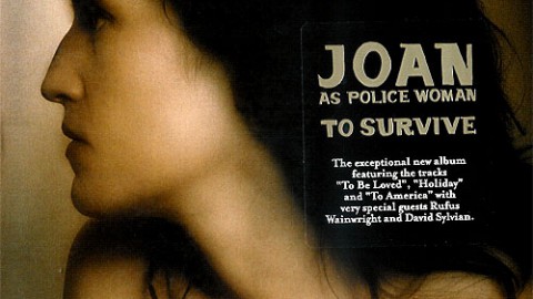 Joan As Police Woman – To Survive