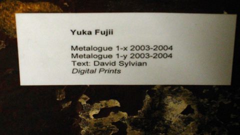 Yuka Fujii – exhibition ‘Minus One’