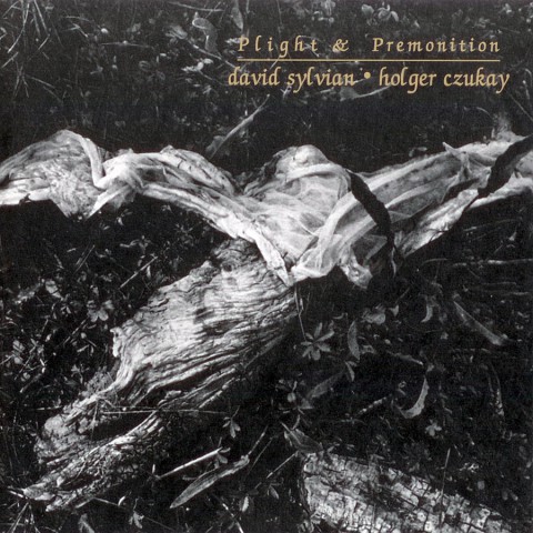 Plight & Premonition (Russia)