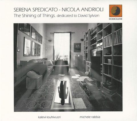 The Shining of Things (dedicated to David Sylvian) – Serena Spedicato & Nicola Andrioli