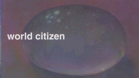 World Citizen (Ryoji Ikeda remix)