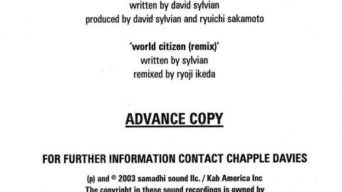 World Citizen (Samadhi Sound)