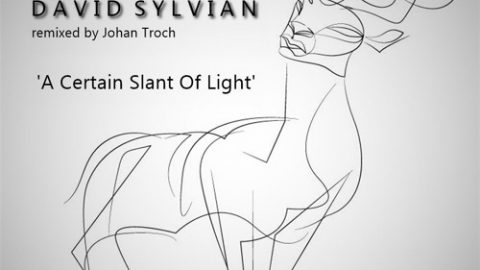 A Certain Slant Of Light (Johan Troch remix)