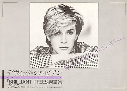 Brilliant Trees (Japanese flyer) front. Thanks to Takasaki Ririko.