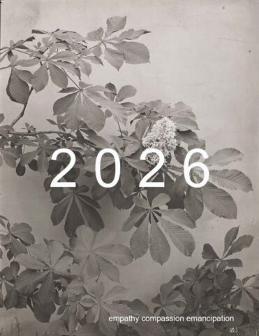 David Sylvian posted this greetings on 25 december 2025 on social media