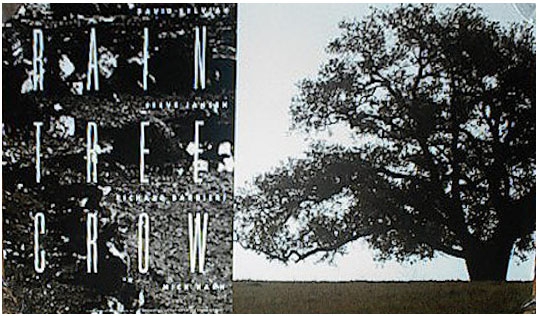 Promotional poster for the Rain Tree Crow album