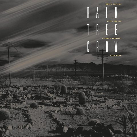 Rain Tree Crow (2019 Vinyl)