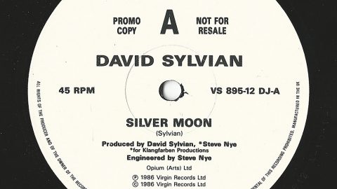 Silver Moon (promo)