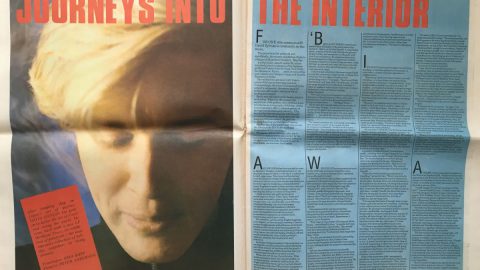 Journeys into the Interior (NME, August 1984)