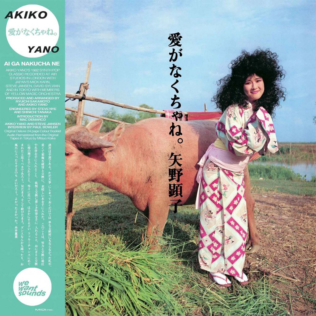 Akiko Yano - Ai Ga Nakucha Ne vinyl cover with obi