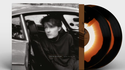 Gone To Earth (2025 re-issue coloured vinyl)