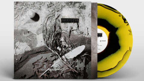 Secrets Of The Beehive (2025 re-issue coloured vinyl)