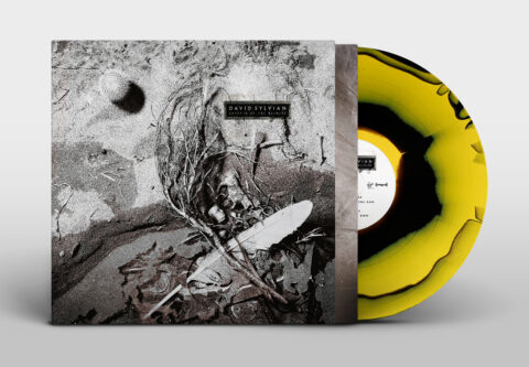 Secrets Of The Beehive (2025 re-issue coloured vinyl)