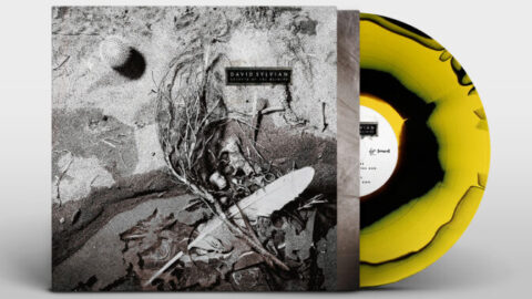 Secrets Of The Beehive (2025 re-issue coloured vinyl)